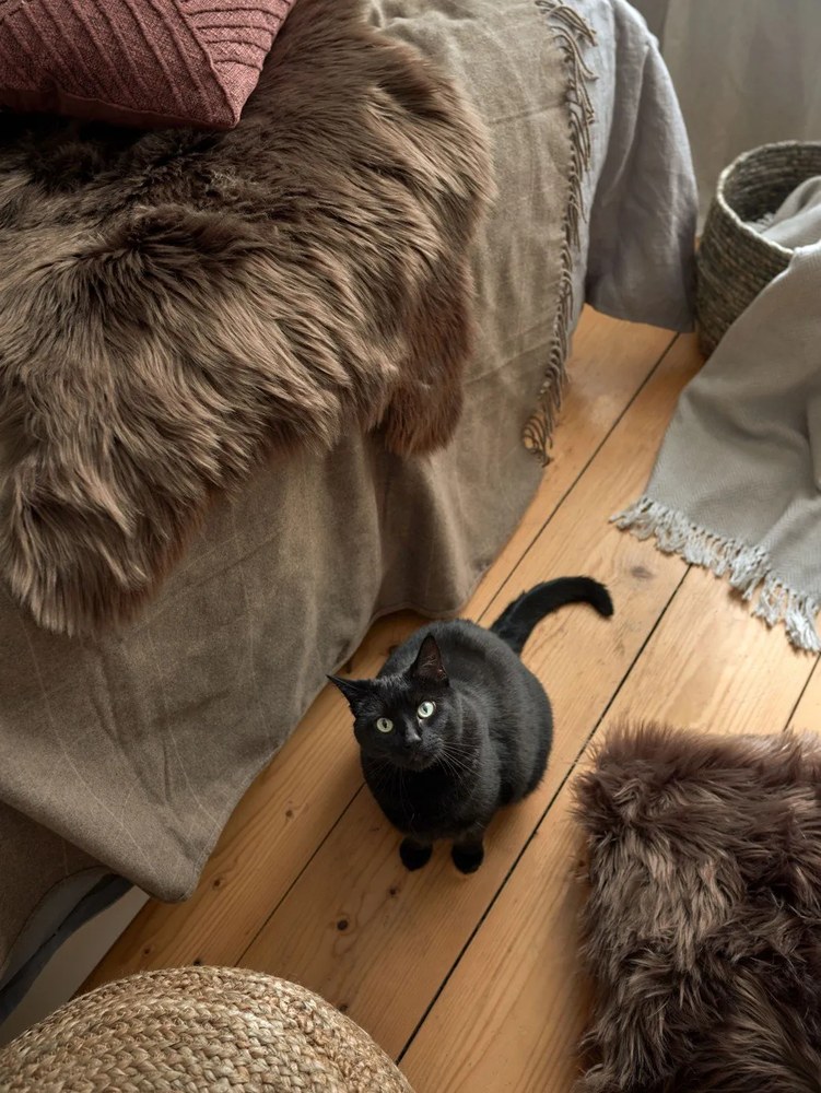 Декоративна възглавница 45x45 cm - Tiseco Home Studio