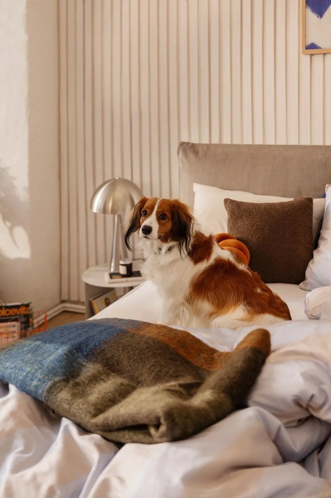 Тъмносива LED затъмняваща се настолна лампа (височина 20 cm) Mush – Hübsch