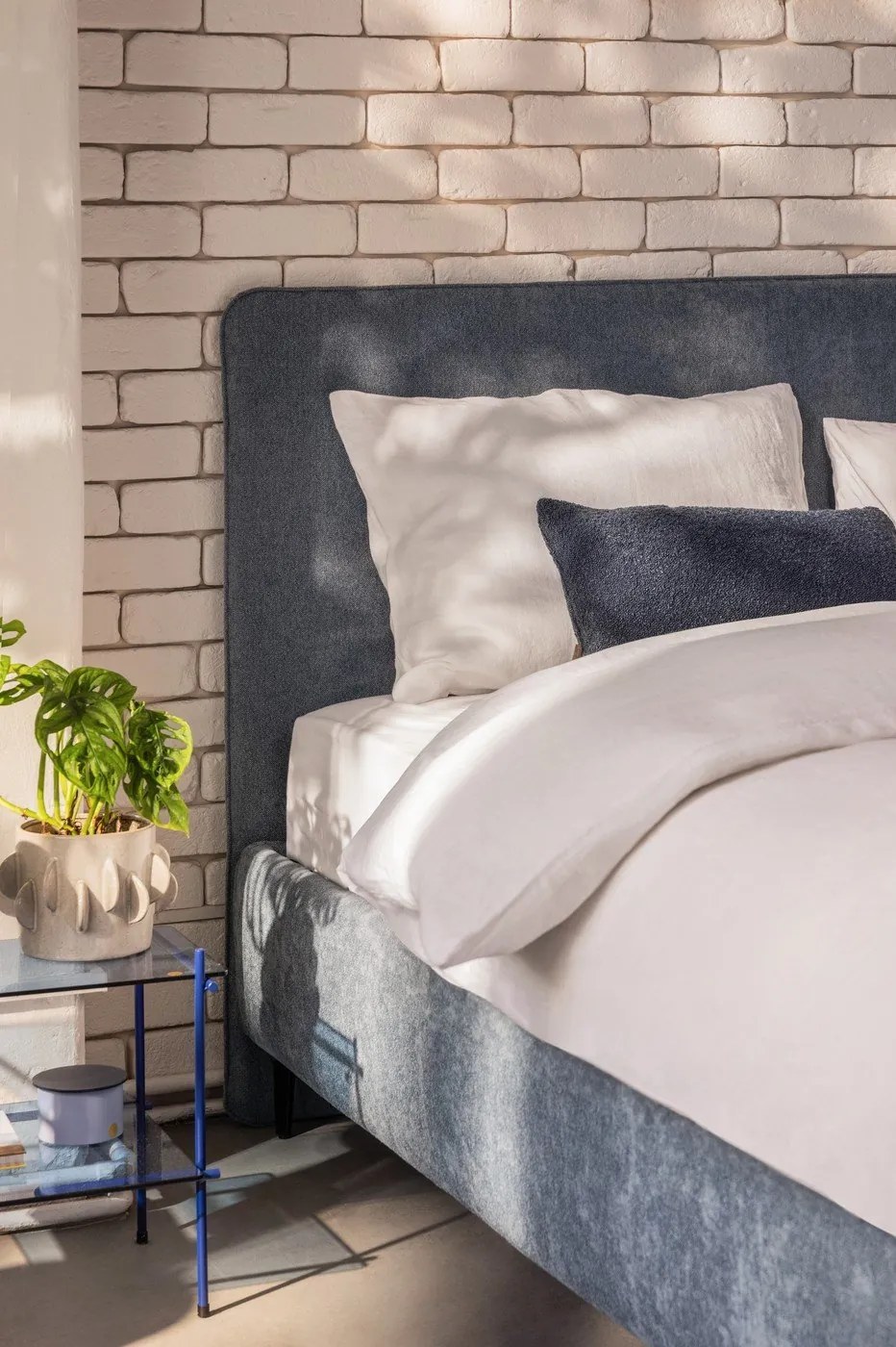 стая от Bonami 