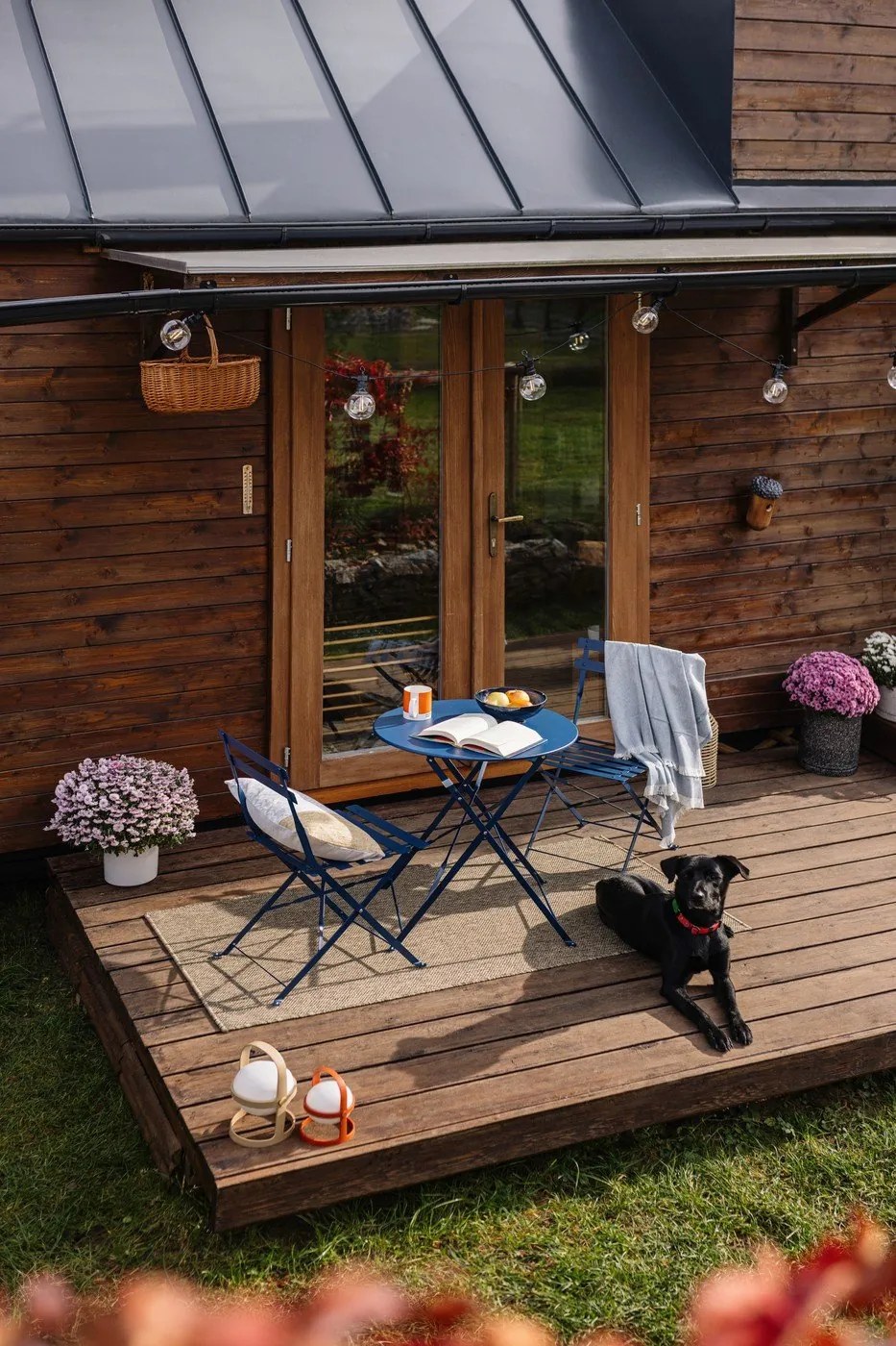 стая от Bonami 