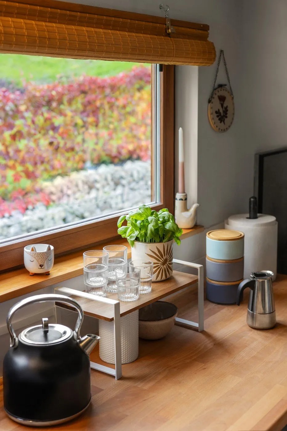 стая от Bonami 