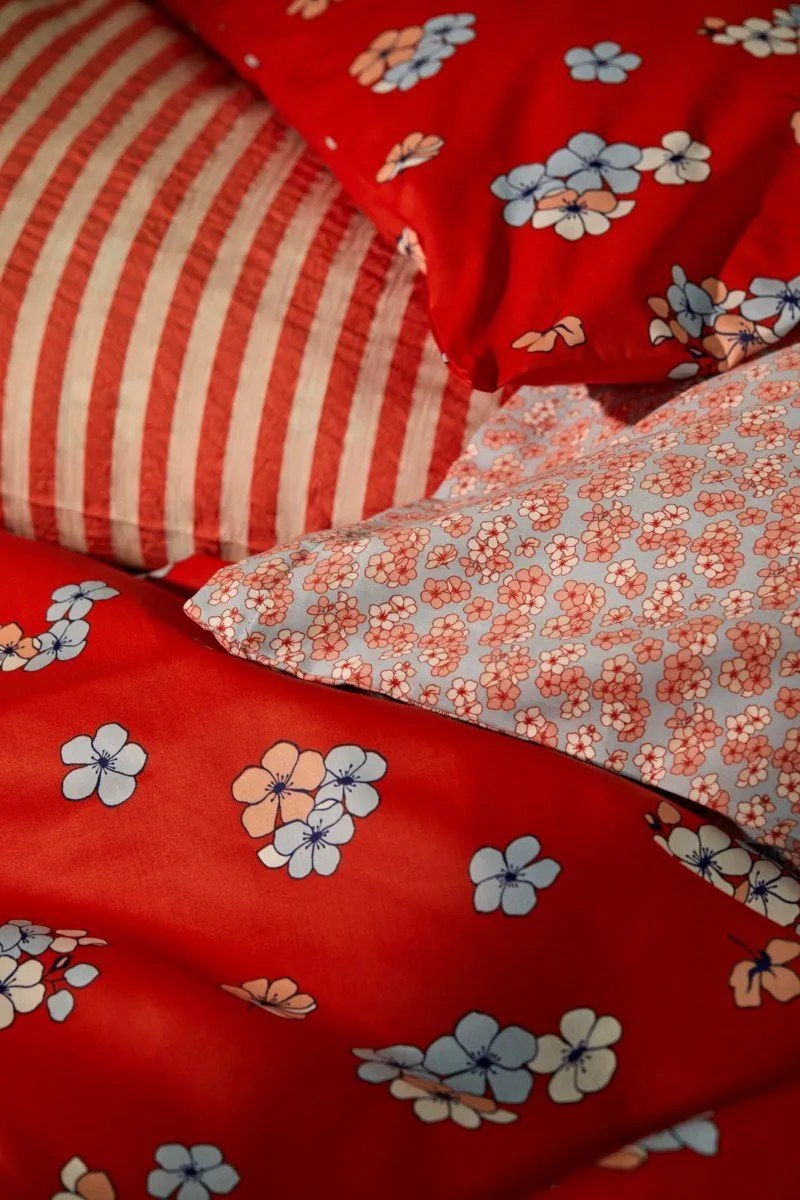 стая от Bonami 