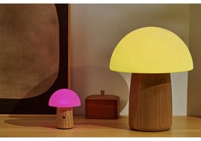 Настолна лампа с възможност за затъмняване в естествен цвят и стъклен абажур (височина 13 см) Alice - Gingko