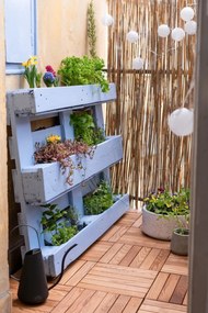 Слънчева LED светлинна верига, подходяща за използване на открито, с дължина 2,7 м Festival - Star Trading