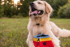 Текстилна сгъваема купа за пътуване ø 18 cm Sunrise - P.L.A.Y.