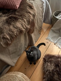 Декоративна възглавница 45x45 cm - Tiseco Home Studio