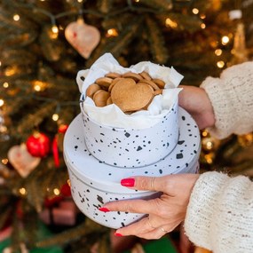 Метални кутии в комплект 3 бр. за торти Speckled – Premier Housewares