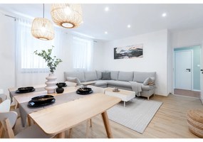 Сив килим за открито , 200 x 290 cm Coin - NORTHRUGS