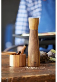 Кутия за сол - Holm