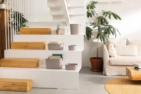 Пластмасова кошница за съхранение 38x29x14 cm Softex – Curver