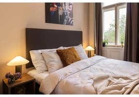 Светлосиво каре със съдържание на памук , 140 x 180 cm Ruby - Euromant