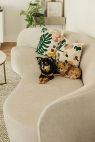 Бяла кръгла маса за кафе ø 80 cm Alisma - Actona