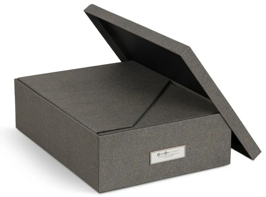 Картонени органайзери за докумнети в комплект от 5 бр. Holger – Bigso Box of Sweden