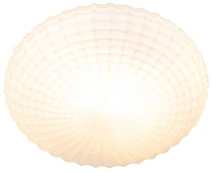 Класическа таванна лампа черна с опалово стъкло 23 см IP44 - Nohmi