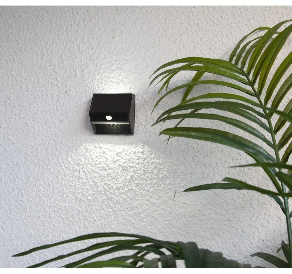 Стенно соларно LED осветително тяло, височина 11 cm Wally - Star Trading