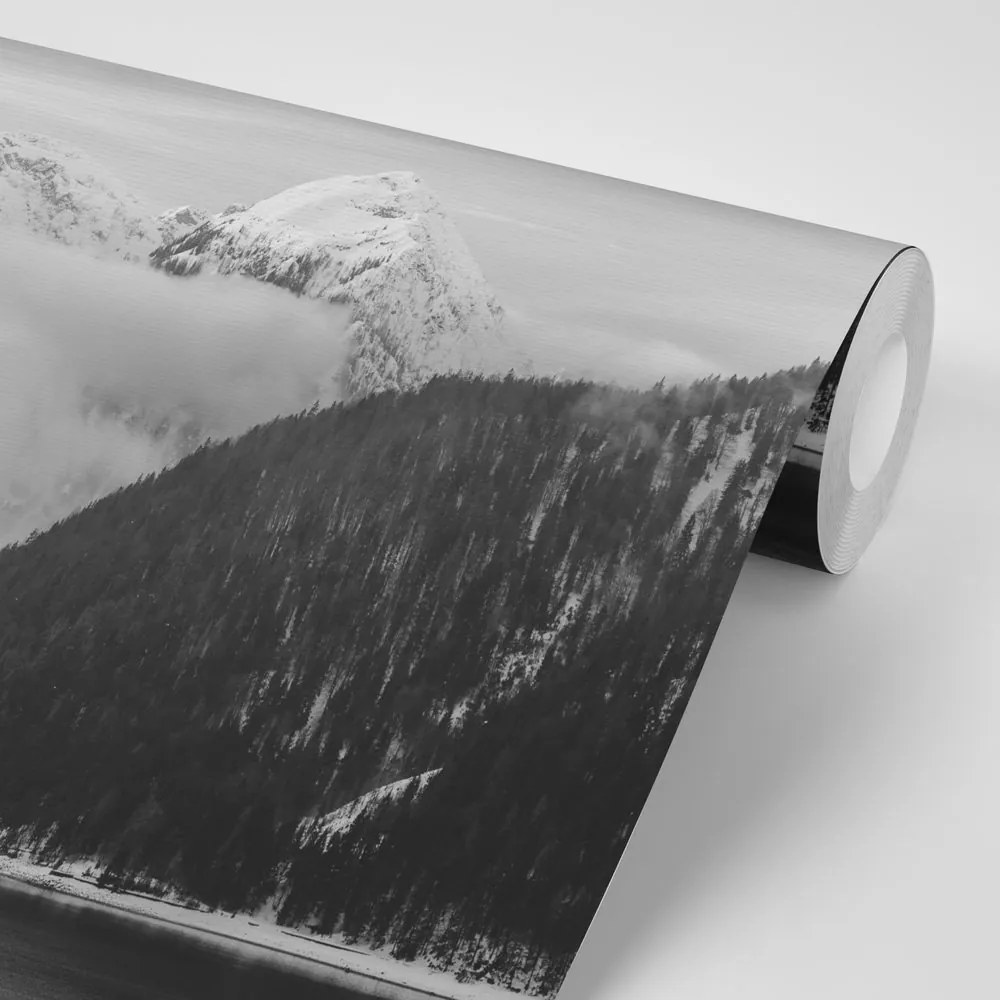 Фототапет – Зимна природа в черно-бяло