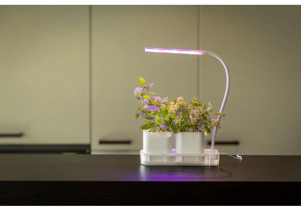 Метален разсадник за растения Lamp – Esschert Design