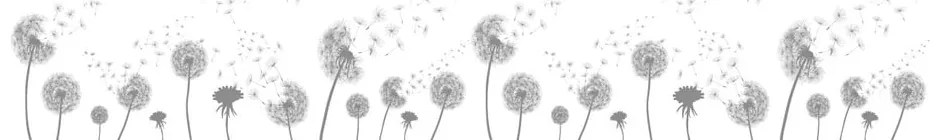 Стикер за прозорец 200x40 cm Dandelions - Ambiance