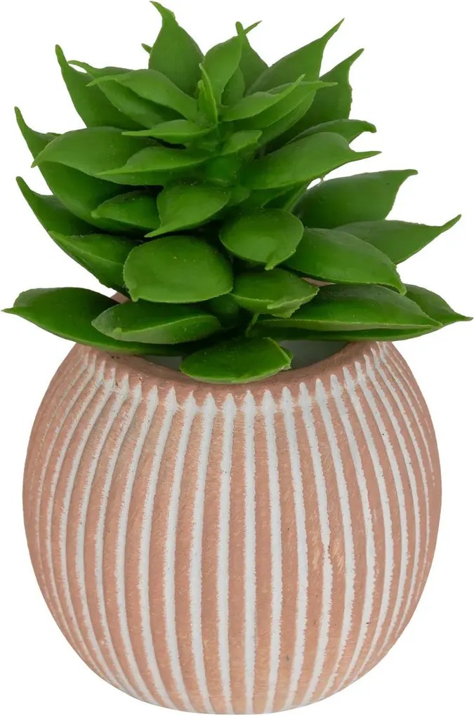 Изкуствено растение atmosphera Ubi Succulent, 7 cm, Различни видове