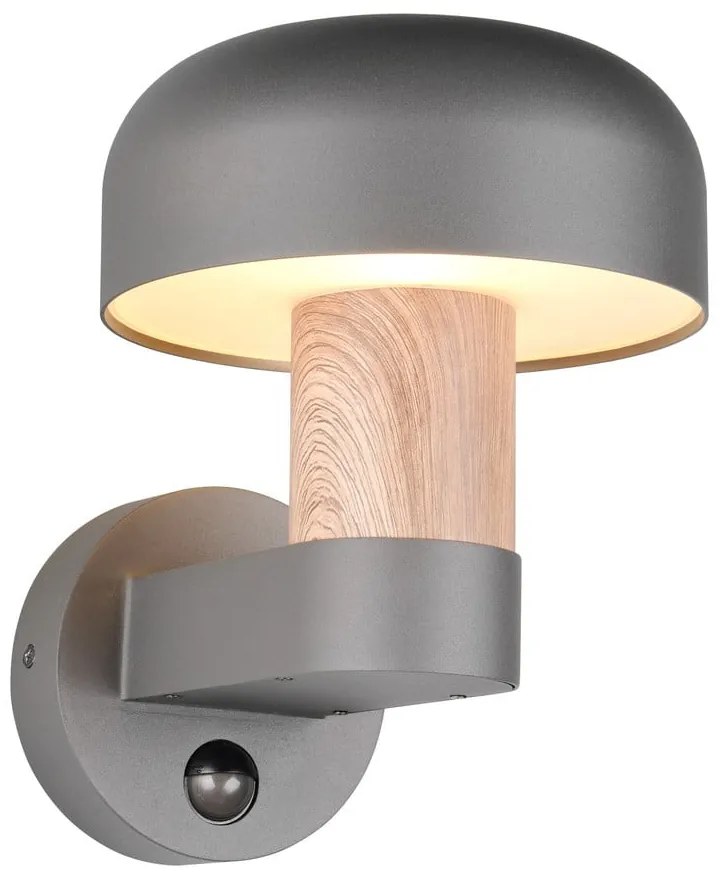 Стенно външно осветително тяло (височина 24,5 cm) Fraser – Trio