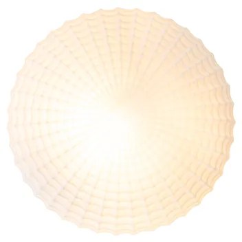 Класическа таванна лампа черна с опалово стъкло 23 см IP44 - Nohmi