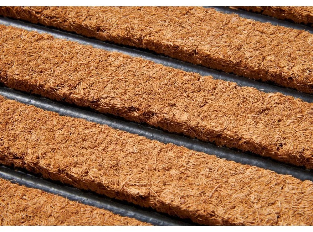 Изтривалка от кокосови влакна 45x75 cm Striped - Hanse Home