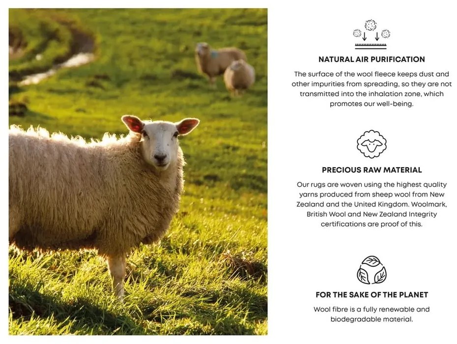 Кремав вълнен килим 200x300 cm Calisia M Grid Rim – Agnella