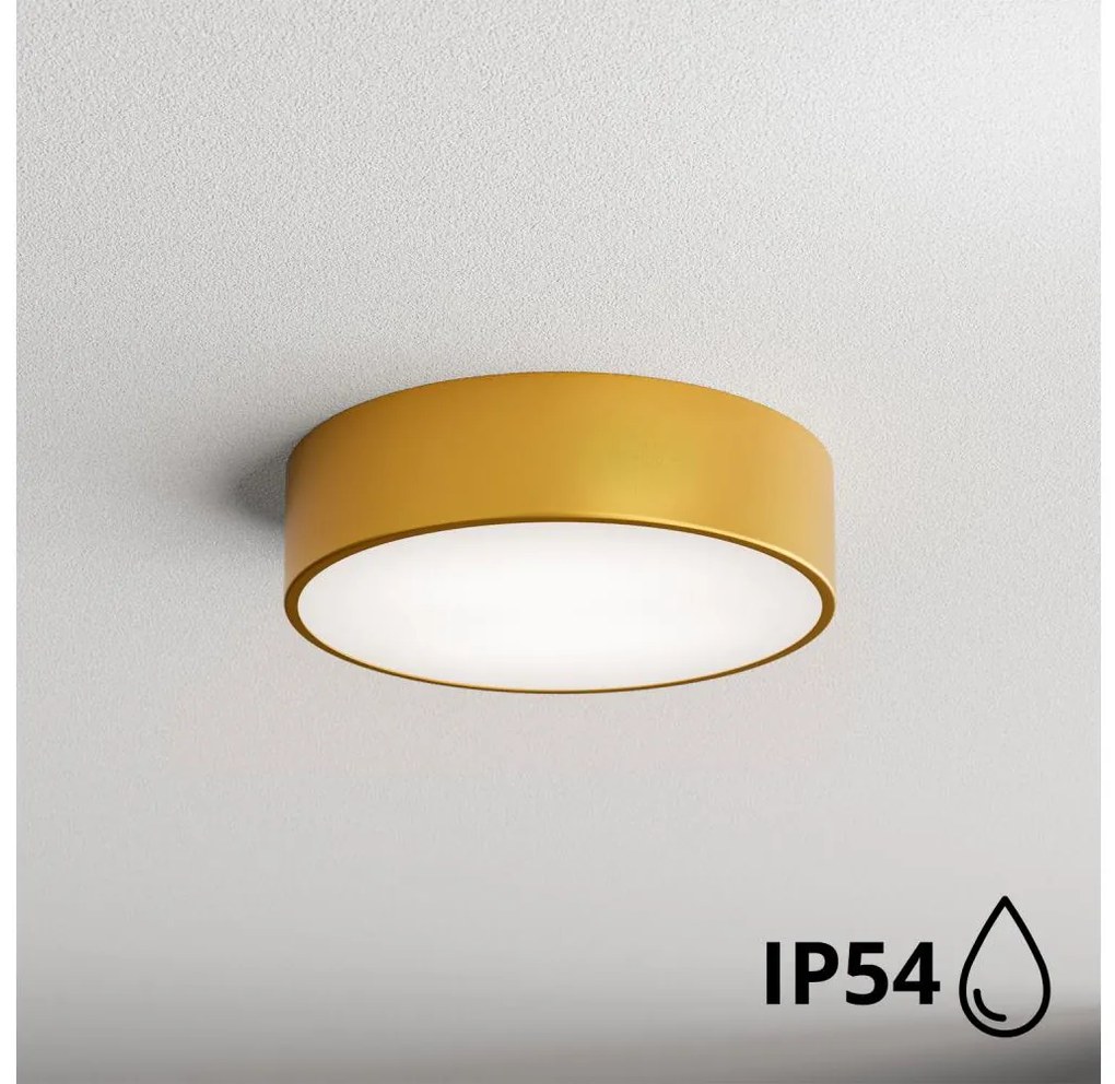 Brilagi - Плафон за баня CLARE 2xE27/24W/230V Ø 30 cm IP54 златист