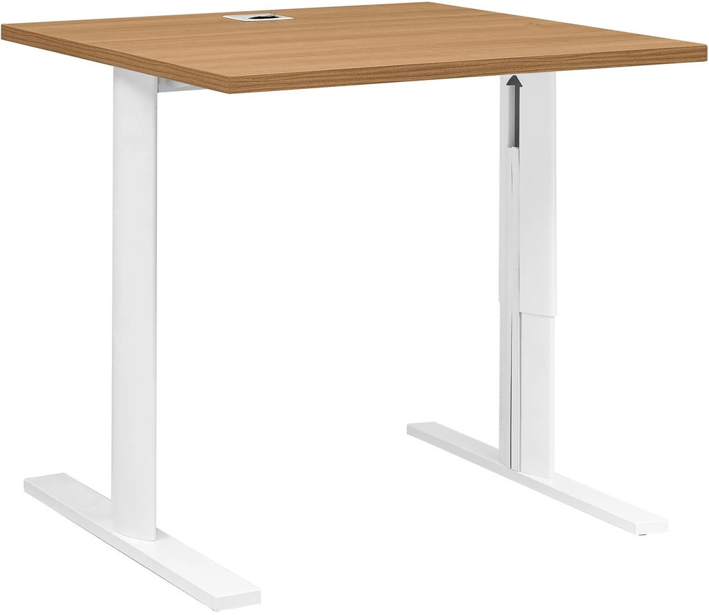 Бюро DeskVision I-Leuko