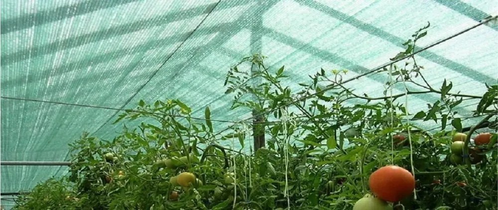 Засенчваща мрежа с 90% засенчване 135g/m2 2m x 50m