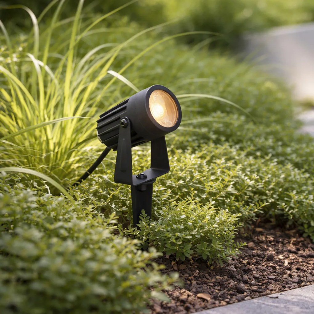 Модерен 12V прожектор черен вкл. LED IP67 - Voltaire Pico