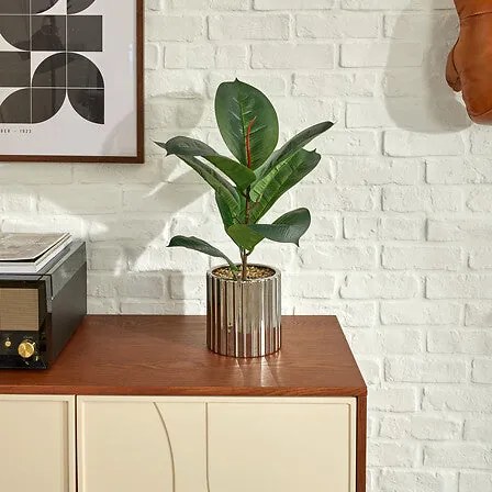 Изкуствено растение atmosphera Ficus Sky, 54 cm