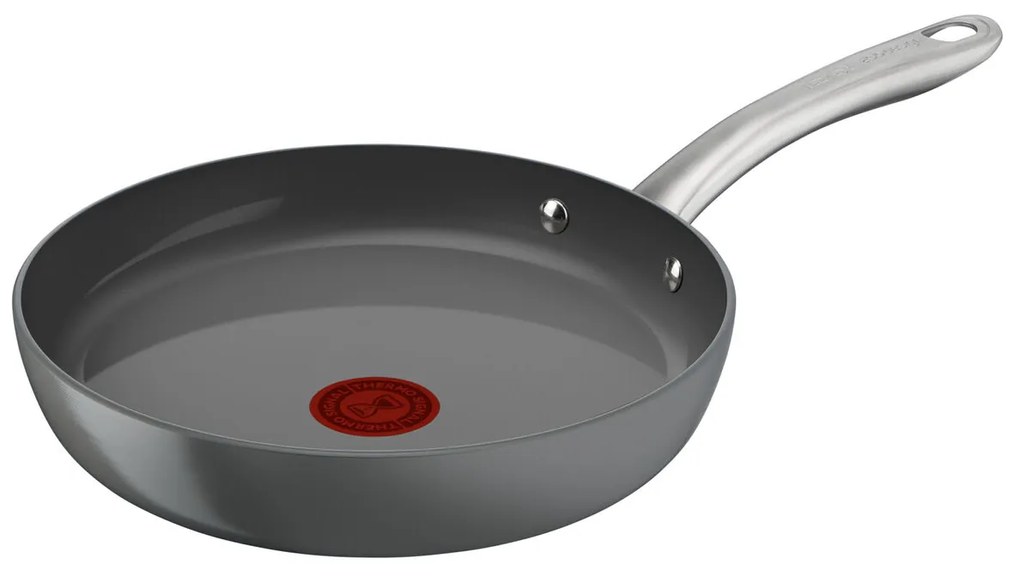 Тиган Tefal C4240753 Сив Алуминий Ø 30 cm