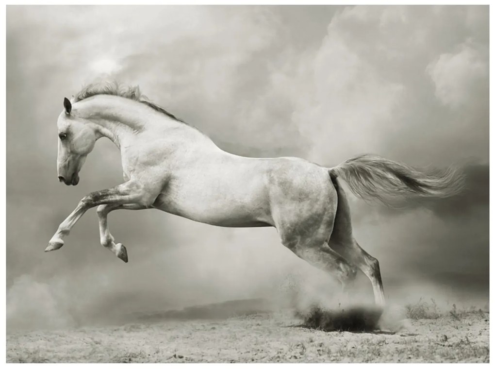 тапети - Wild Stallion 400x309