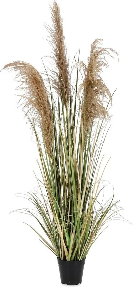 Изкуствено растение (височина 145 cm) Austorderia – Bizzotto