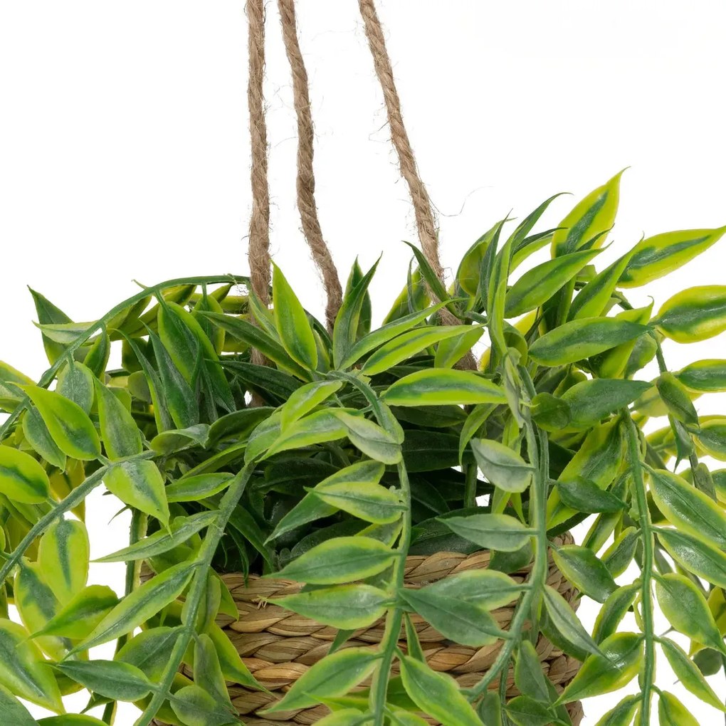 Изкуствено растение atmosphera Patri Hanging, 50 cm, Различни видове
