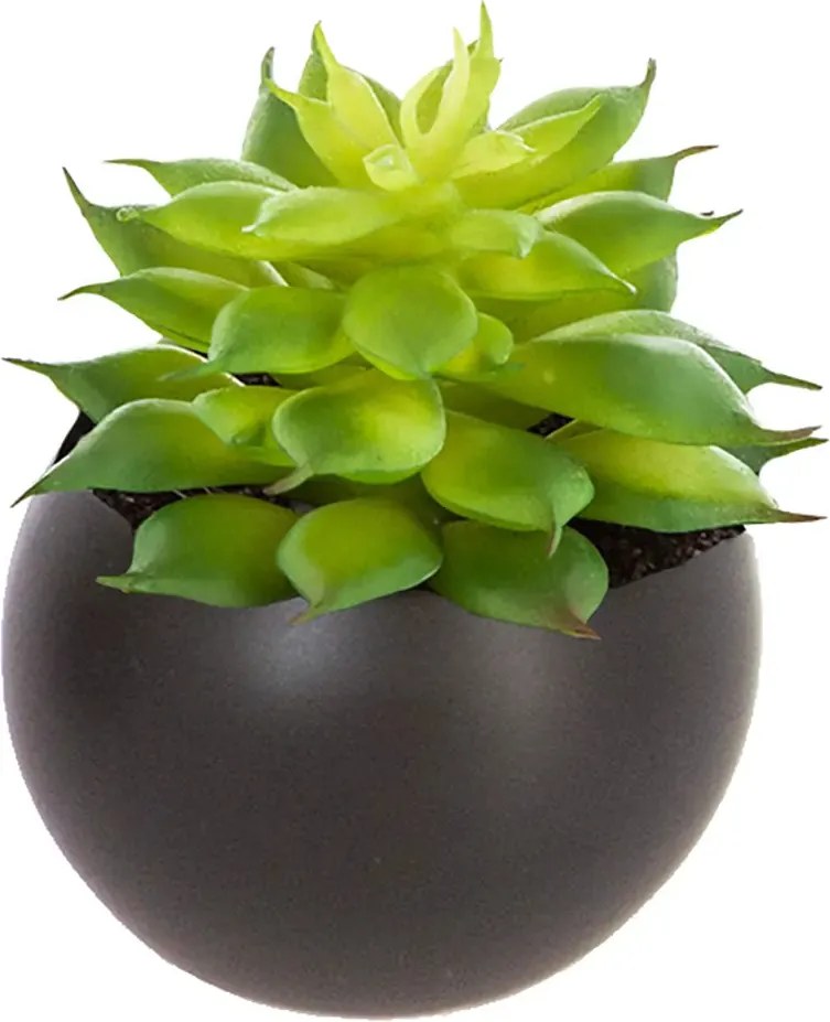 Изкуствено растение atmosphera Succulent, 6 cm, Различни видове
