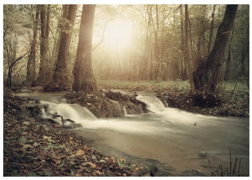 тапети - Forest Cascade 100x70