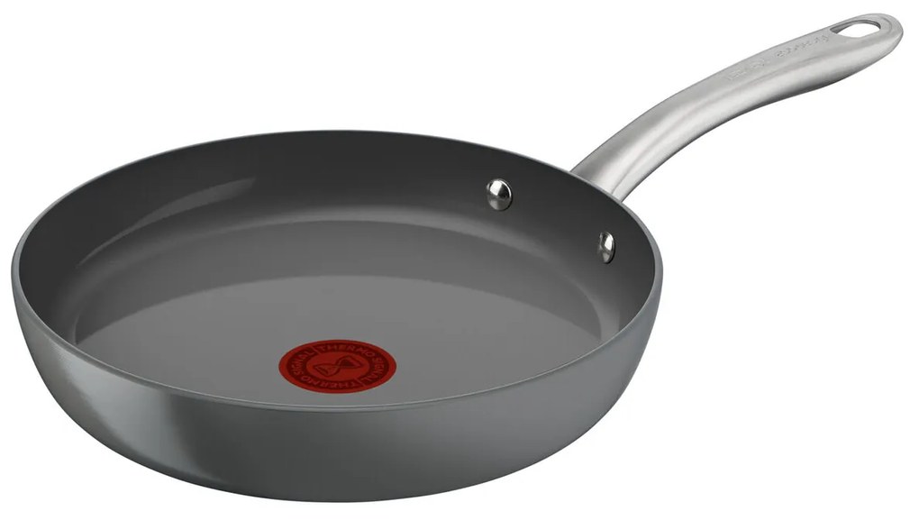 Тиган Tefal C4240453 Сив Алуминий Ø 24 cm