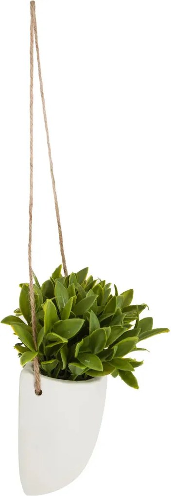 Изкуствено растение atmosphera Hanging, 20 cm, Различни видове