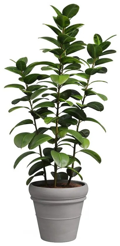 Теракотена саксия за цветя ø 37 cm Mariza – Artevasi