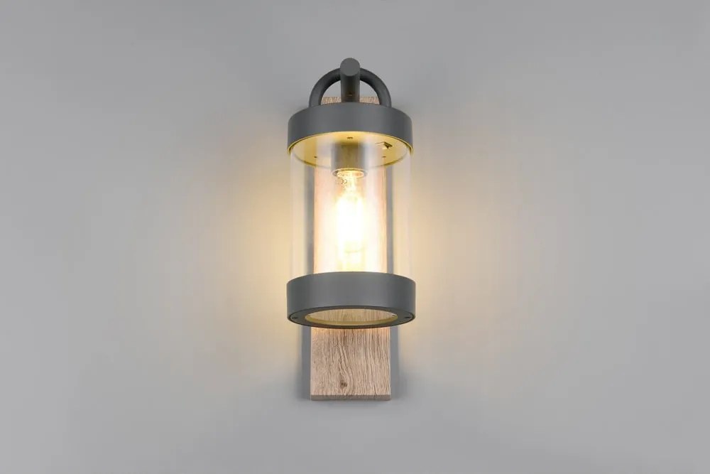 Стенно външно осветително тяло (височина 33 cm) Sambesi – Trio