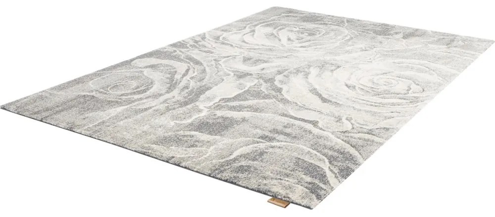 Сив вълнен килим 200x300 cm Ros - Agnella