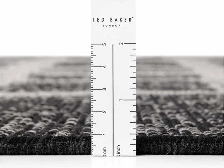 Черен/кремав килим за открито и закрито 200x300 cm Haringey Ruskin – Ted Baker