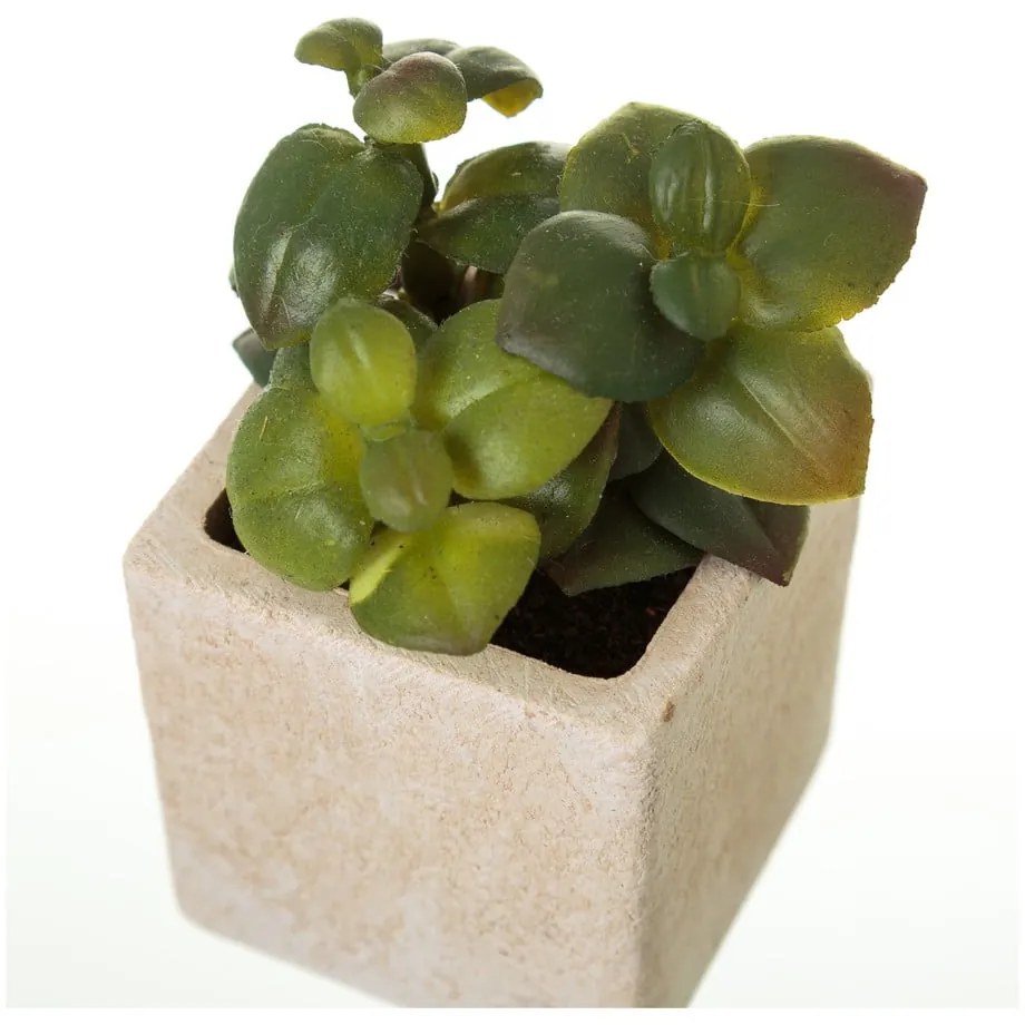 Изкуствени растения в комплект от 6 броя (височина 9,5 см) Cactus - Casa Selección