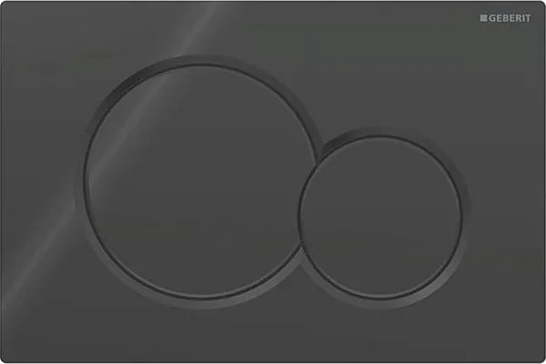 Geberit 115.770.DW.5 - Бутон за смиване Sigma01 Round 24,6x16,4 cm черен