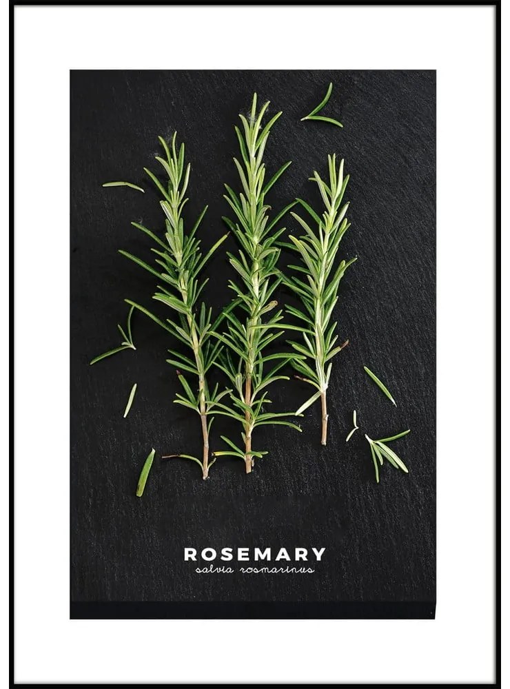Картина 50x70 cm Rosemary – Styler