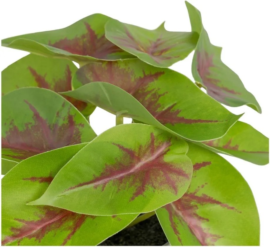 Изкуствено растение (височина 20 cm) Syngonium – Ixia