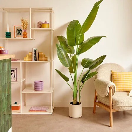 Изкуствено растение atmosphera Lora Banana, 200 cm