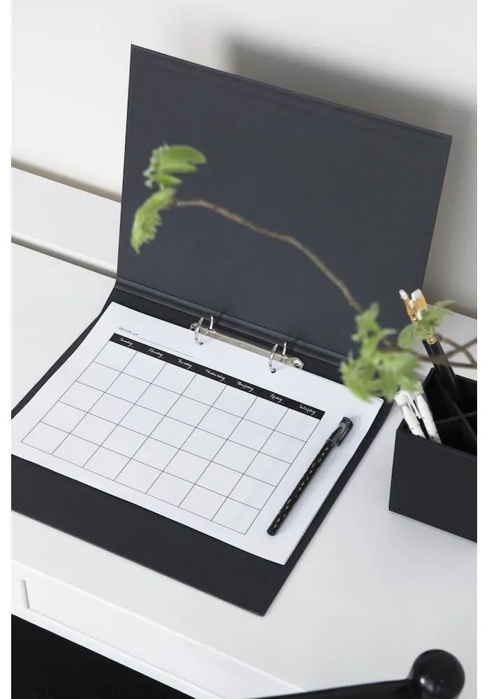 Картонен органайзер за документи Ringo - Bigso Box of Sweden